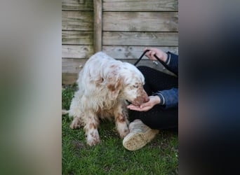 Beto - Mehr Braucht man nicht