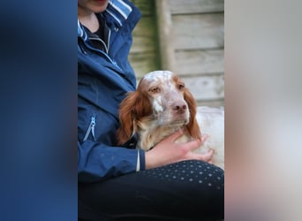 Fiamma - Eine kleine Seele auf großer Reise