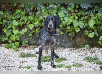 Coca - Zwischen gestern und morgen