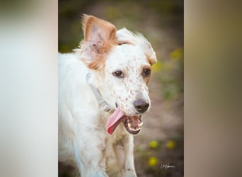 Annette - ein sanftes Huhu!