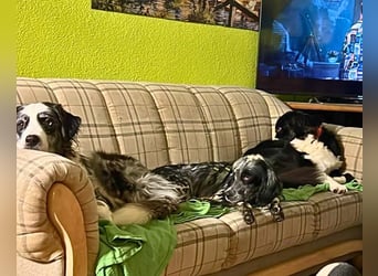 Helvetia - Angst beginnt im Kopf ? Mut auch!