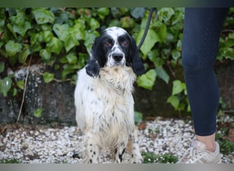 Fola - bereit, die Welt gemeinsam zu entdecken