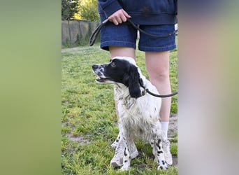 Fola - bereit, die Welt gemeinsam zu entdecken