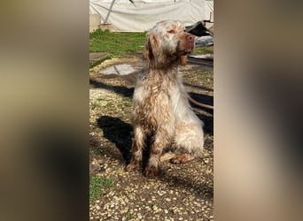 Beto - Mehr Braucht man nicht