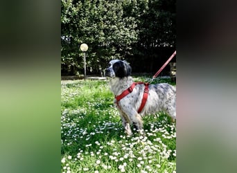 Toby - NOTFALL - Wenn die Welt plötzlich still und dunkel wird