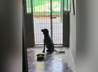 Freya - Irgendwo musste doch jemand sein