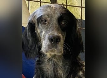 Helvetia - Angst beginnt im Kopf ? Mut auch!