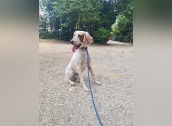 Annette - ein sanftes Huhu!