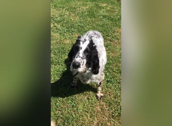 Fuorimano - Alles verloren, außer der Hoffnung auf einen Neuanfang