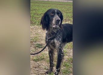 Coca - Zwischen gestern und morgen