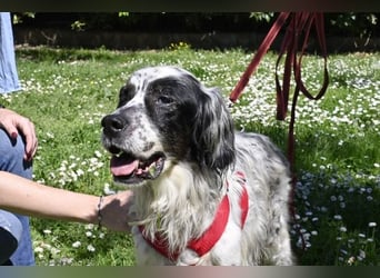 Toby - NOTFALL - Wenn die Welt plötzlich still und dunkel wird