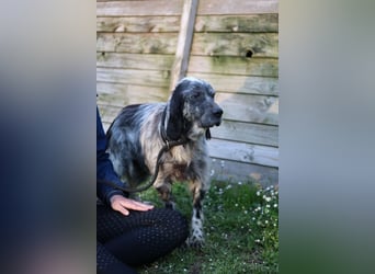 Linda - Und plötzlich kann alles gut werden