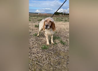 Zak - mitten ins Herz