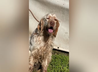 Beto - Mehr Braucht man nicht