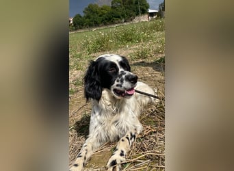 Fola - bereit, die Welt gemeinsam zu entdecken