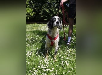 Toby - NOTFALL - Wenn die Welt plötzlich still und dunkel wird