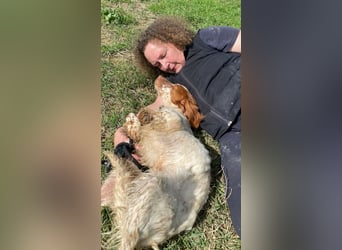 Fiamma - Eine kleine Seele auf großer Reise