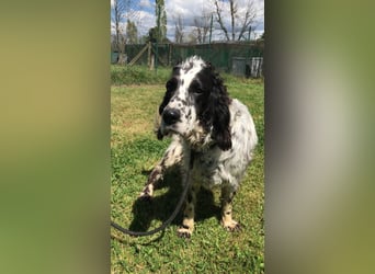 Fuorimano - Alles verloren, außer der Hoffnung auf einen Neuanfang