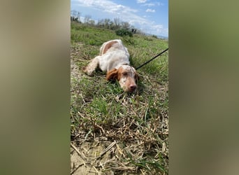 Fiamma - Eine kleine Seele auf großer Reise