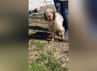 Beto - Mehr Braucht man nicht