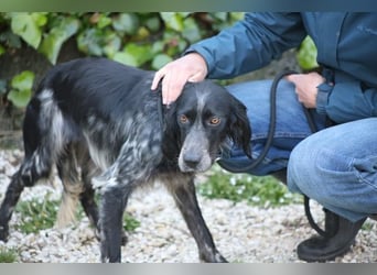 Coca - Zwischen gestern und morgen