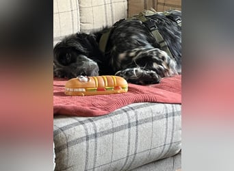 Helvetia - Angst beginnt im Kopf ? Mut auch!