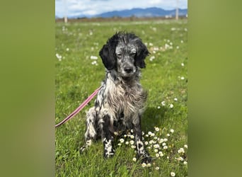 Elettra - Das Leuchten für immer