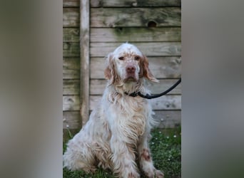 Beto - Mehr Braucht man nicht