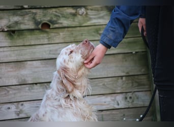 Beto - Mehr Braucht man nicht