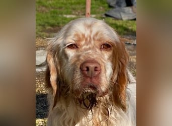 Beto - Mehr Braucht man nicht