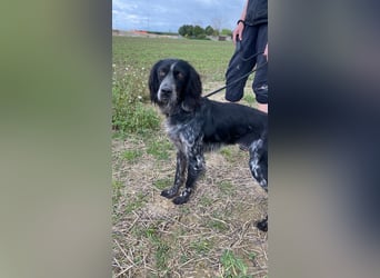 Coca - Zwischen gestern und morgen