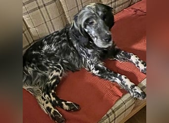 Helvetia - Angst beginnt im Kopf ? Mut auch!