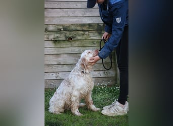 Beto - Mehr Braucht man nicht