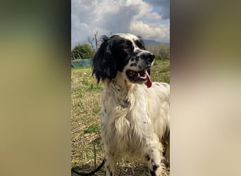 Fola - bereit, die Welt gemeinsam zu entdecken