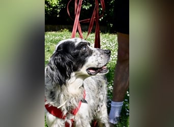 Toby - NOTFALL - Wenn die Welt plötzlich still und dunkel wird