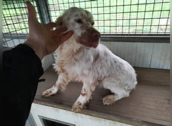 Beto - Mehr Braucht man nicht