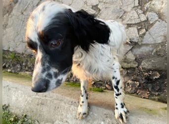 Fola - bereit, die Welt gemeinsam zu entdecken