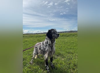 Elettra - Das Leuchten für immer