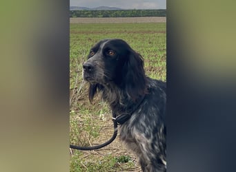 Coca - Zwischen gestern und morgen