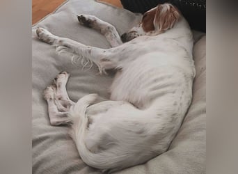 Annette - ein sanftes Huhu!