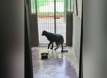 Freya - Irgendwo musste doch jemand sein