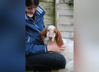 Fiamma - Eine kleine Seele auf großer Reise