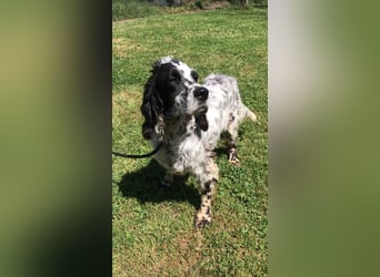 Fuorimano - Alles verloren, außer der Hoffnung auf einen Neuanfang