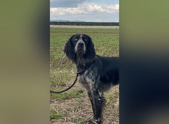 Coca - Zwischen gestern und morgen