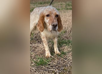 Zak - mitten ins Herz