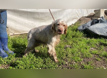 Beto - Mehr Braucht man nicht