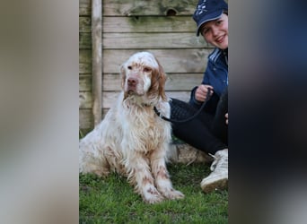 Beto - Mehr Braucht man nicht