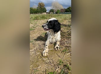 Fola - bereit, die Welt gemeinsam zu entdecken