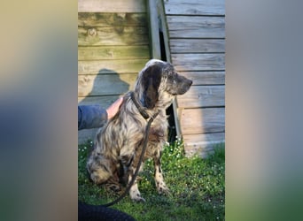 Linda - Und plötzlich kann alles gut werden