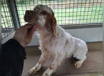 Beto - Eine alte Geschichte, ein neues Kapitel